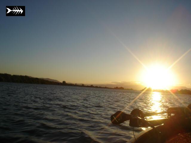 delta 2 2007 .jpg